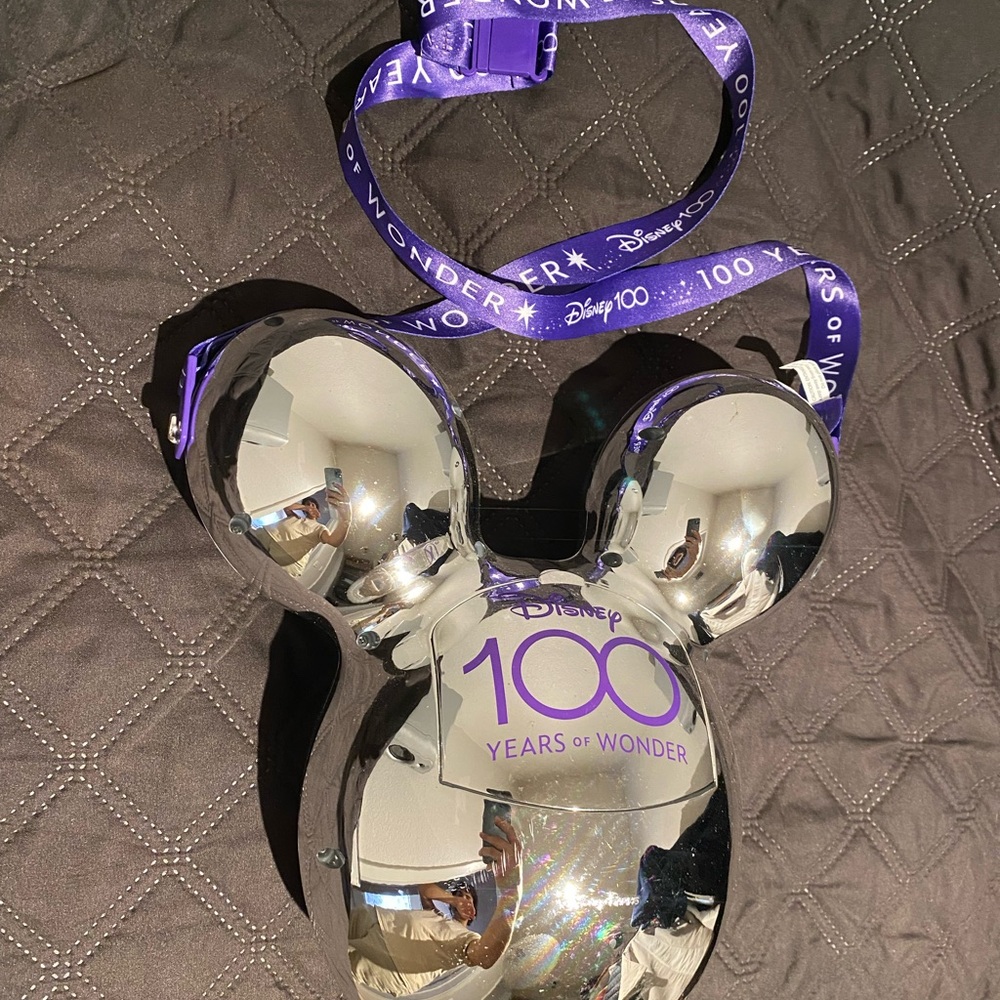 Disney Silver and Purple 100 Years of Wonder Bag